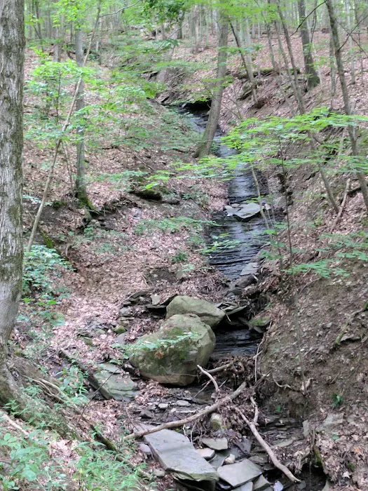 Mountainside Camp Site Picture 8