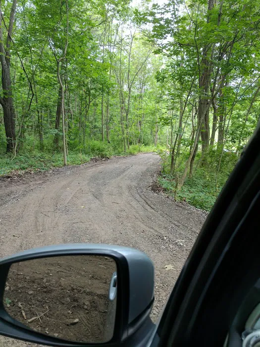 Mountainside Camp Site Picture 4