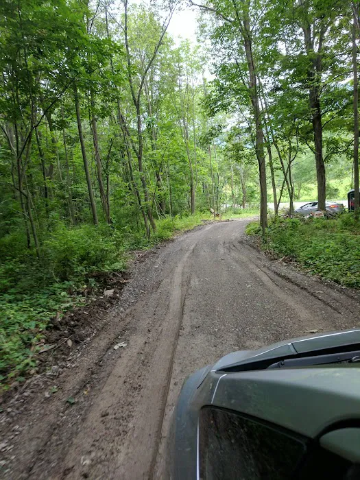 Mountainside Camp Site Picture 6