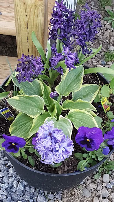 Riverside Park Campground Picture 9