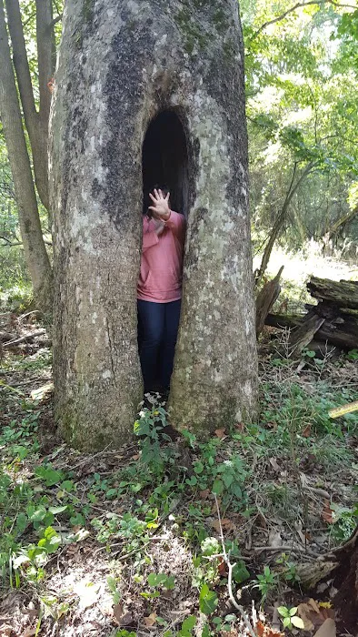 Riverside Park Campground Picture 6