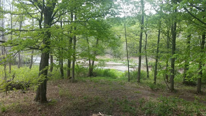 Riverside Park Campground Picture 8