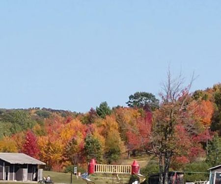 Breezy Point Campground