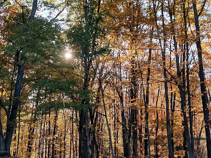 Plum Bottom Creek Campground's now Plum Good Campground Picture 3