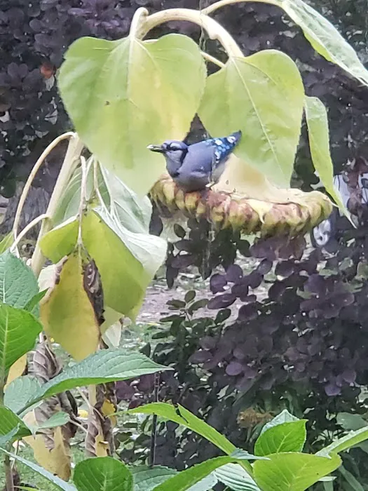 Plum Bottom Creek Campground's now Plum Good Campground Picture 4