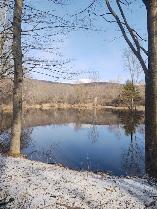 Plum Bottom Creek Campground's now Plum Good Campground Picture 8