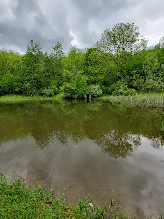 Sunny Hill Picture 3