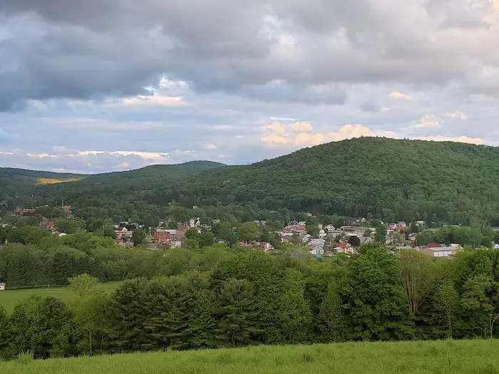 Sunny Hill Picture 4