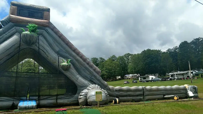 Sunny Hill Picture 1