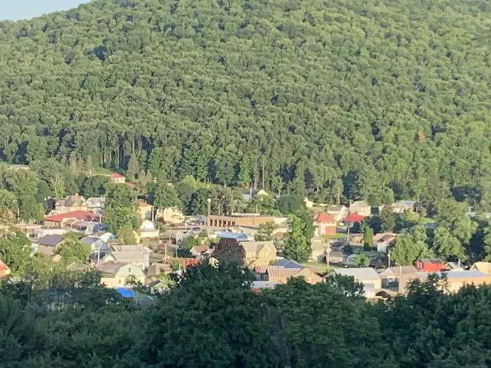 Sunny Hill Picture 9