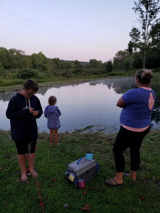 All Adventures Campground Inc Picture 3