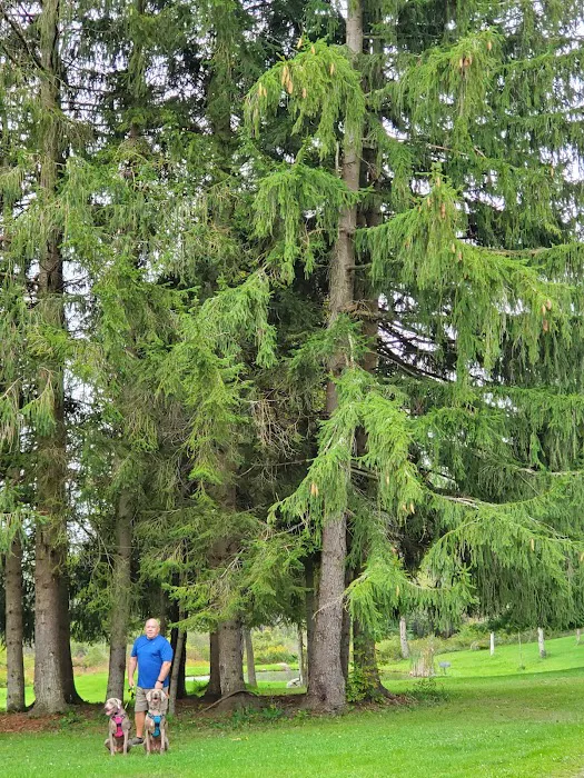 All Adventures Campground Inc Picture 4