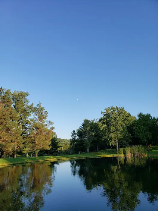 All Adventures Campground Inc Picture 1