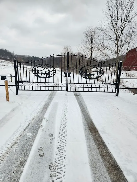 Camp Wildnerness Picture 1