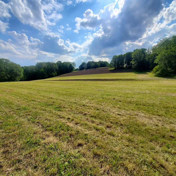 Camp Wildnerness Picture 8