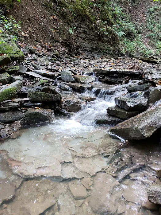 Evergreen Trails Campgrounds Picture 9