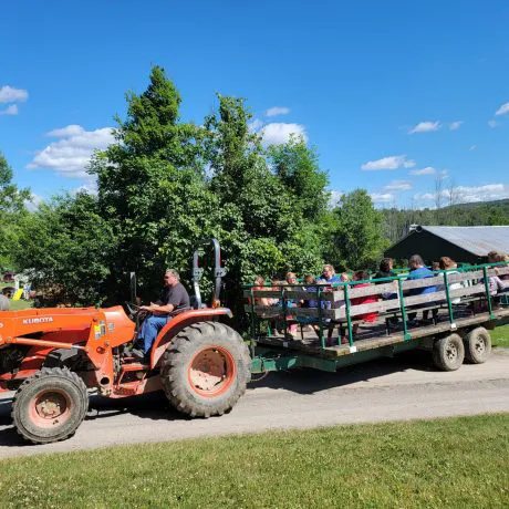 Layland Finger Lakes Picture 4