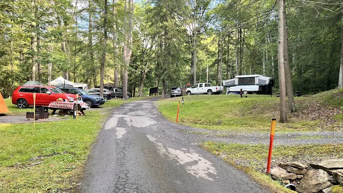 Lower Campground Kettle Creek State Park Picture 2