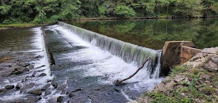 Lower Campground Kettle Creek State Park Picture 5