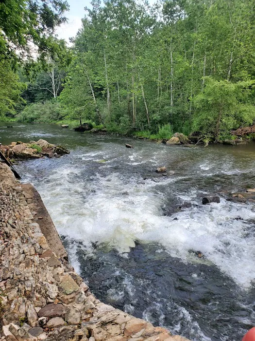 Lower Campground Kettle Creek State Park Picture 10