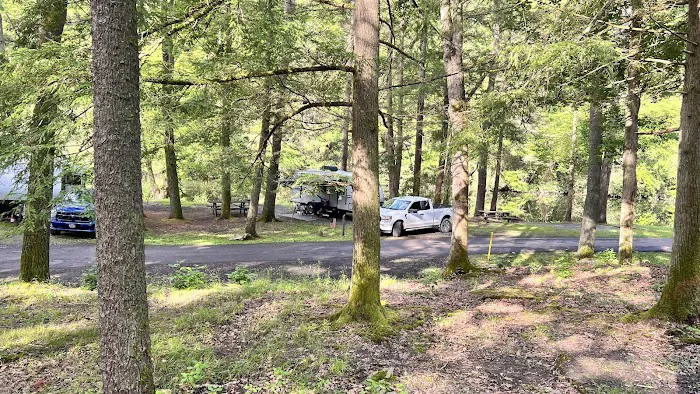 Lower Campground Kettle Creek State Park Picture 9