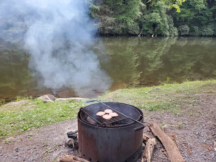 Lower Campground Kettle Creek State Park Picture 4