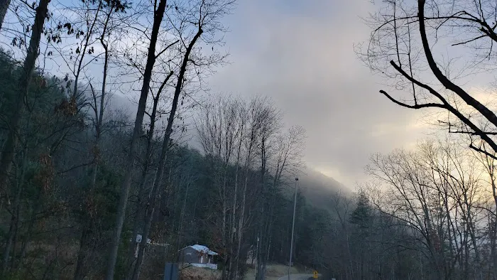 Sinnemahoning State Park Campground Picture 8