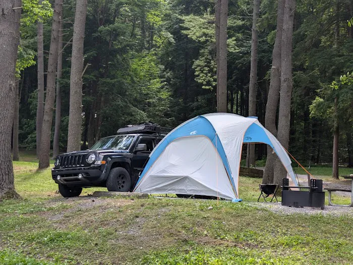 Sinnemahoning State Park Campground Picture 6