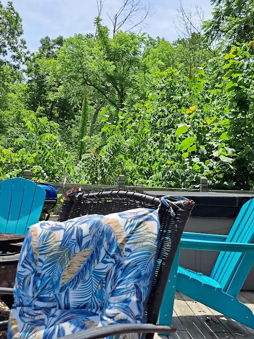 Naples Mountain view cabin Picture 3