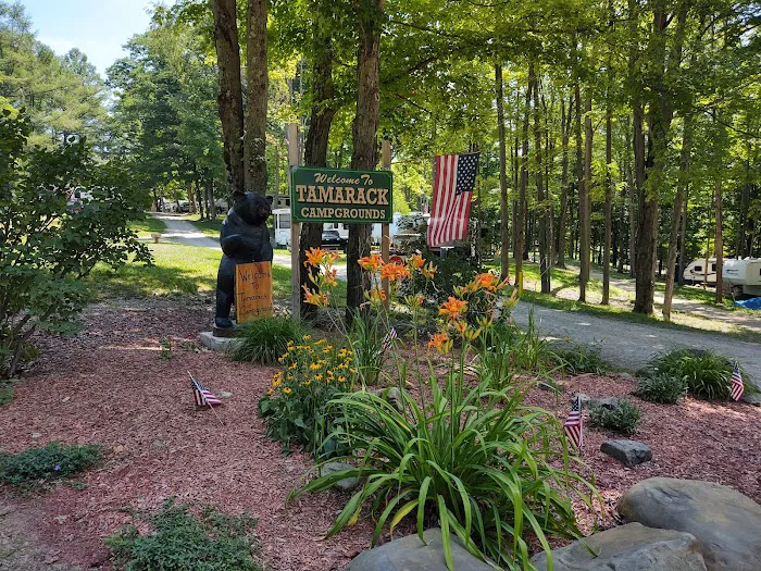 Tamarack Campgrounds Picture 7