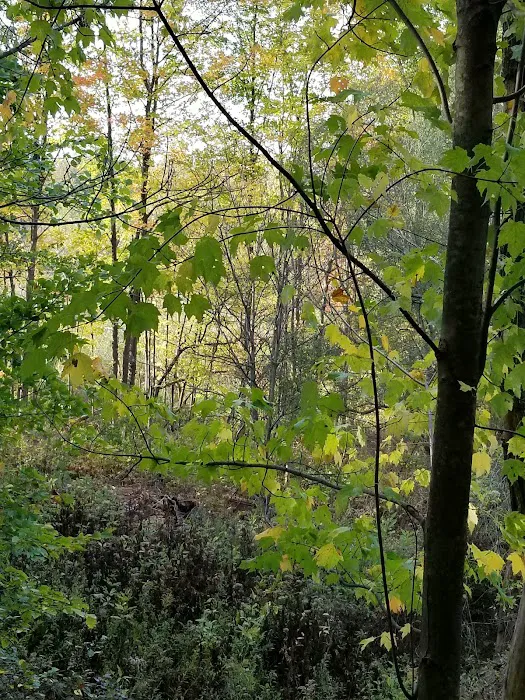 Tamarack Campgrounds Picture 9