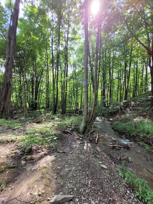 Tamarack Campgrounds Picture 6