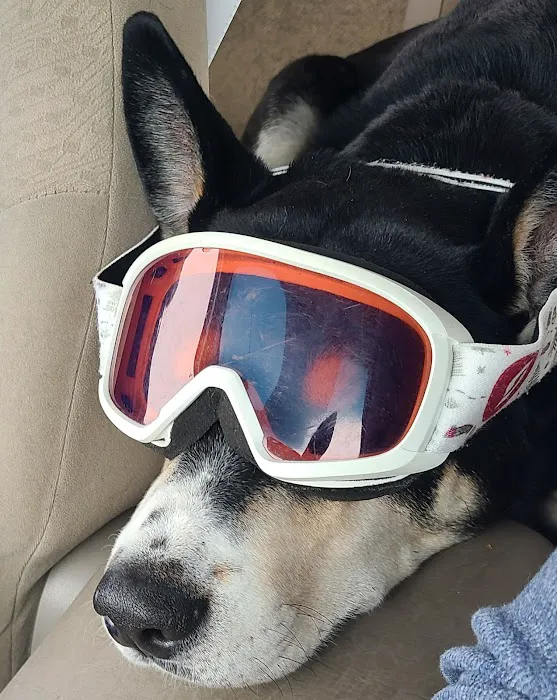 Slope Side RV Park. Picture 4