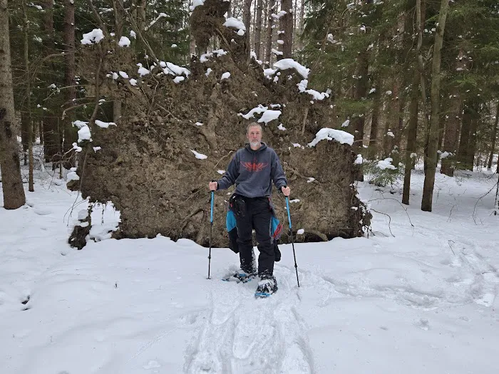 Camp English Hill LLC Picture 8