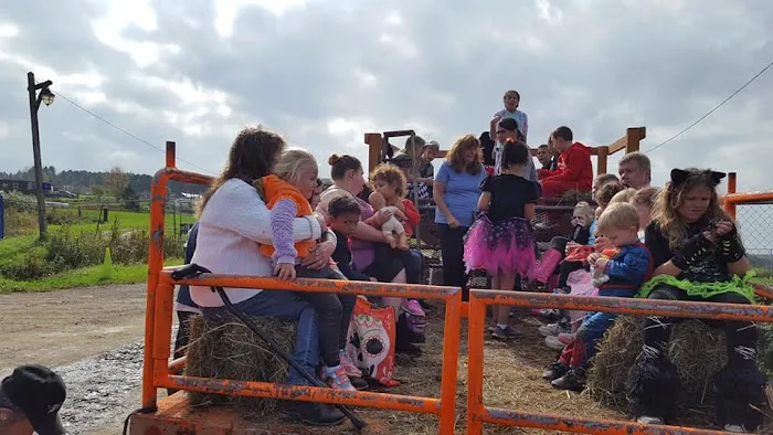 McCarthy's Ranch and Campsite, LLC Picture 3