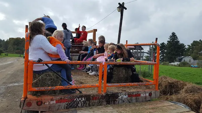 McCarthy's Ranch and Campsite, LLC Picture 2