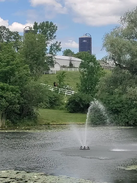 Jones Pond Mens Only Campground & RV Park Picture 6