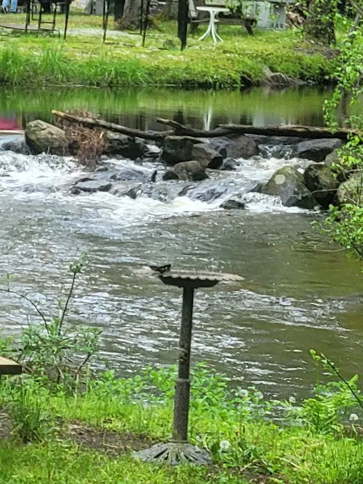 Colaluca Family Campground (previously known as Ginny B Campground) Picture 8