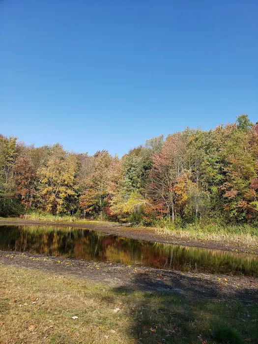 Hickory Ridge Family Campground Picture 7