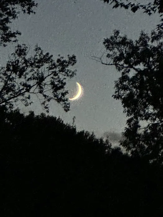 Hickory Ridge Family Campground Picture 2