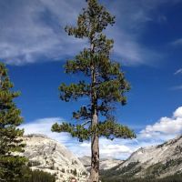 Glen Island Ranger Station ico