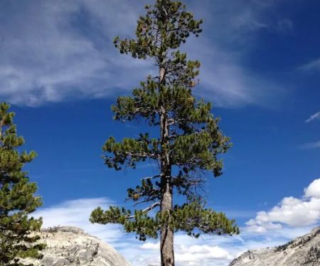 Glen Island Ranger Station