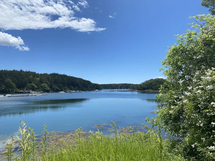Hermit Island Campground Picture 3