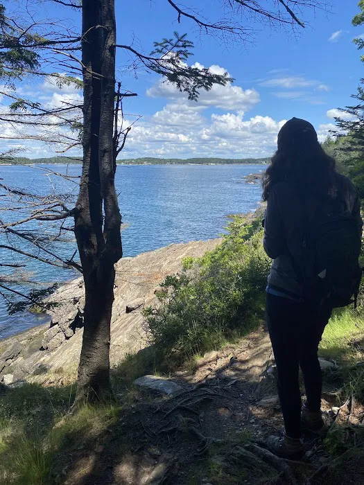 Hermit Island Campground Picture 8