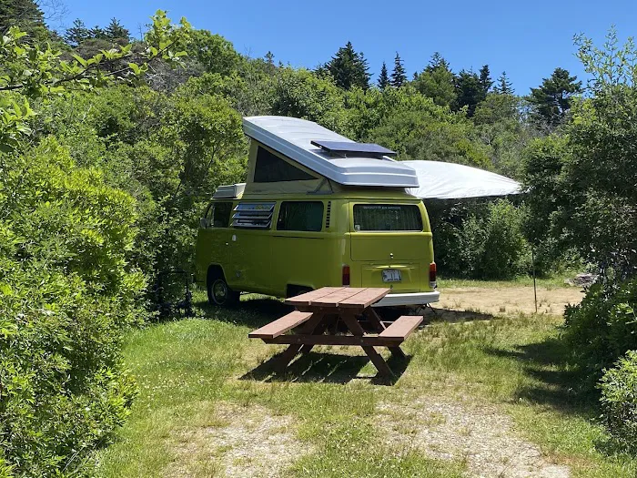 Hermit Island Campground Picture 9