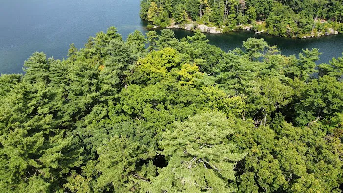 Uncas Island Campground Picture 5