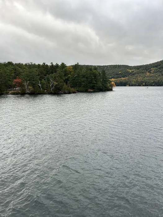 Brush Island Campground Picture 8