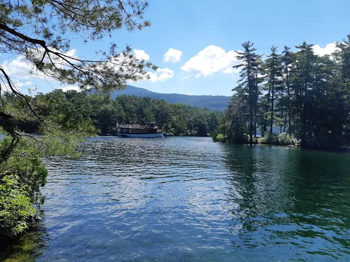 Brush Island Campground Picture 1