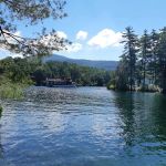 Brush Island Campground