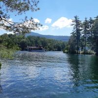 Brush Island Campground ico